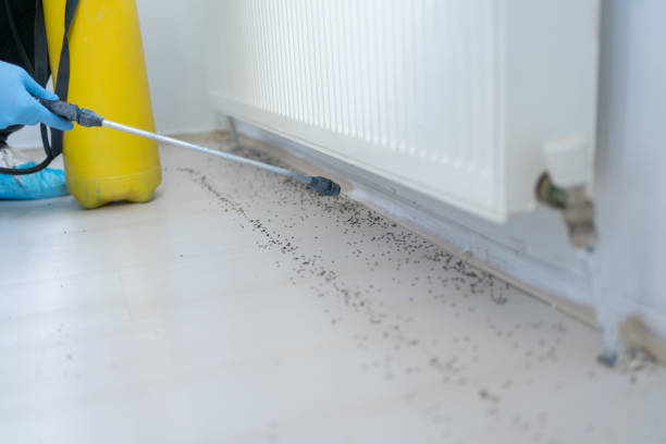 Best Exterminator Services  in North Star, DE